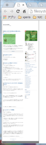 full-page-screen-capture-chrome-extension03