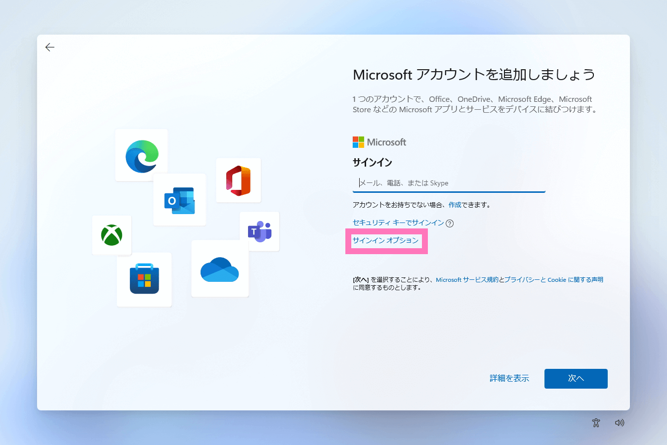 Windows 11 Pro サインインオプションを選択