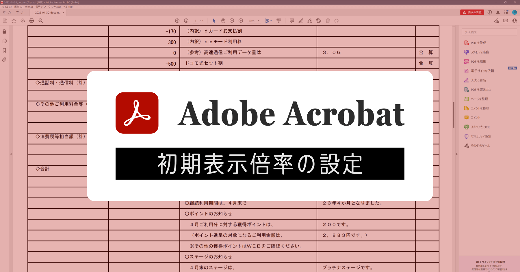 Adobe PDF ファイルの初期表示でズームせず100%表示にする方法
